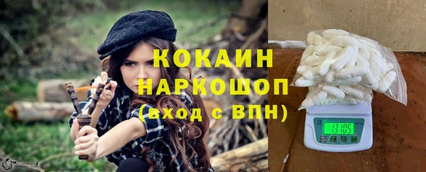 индика Абинск