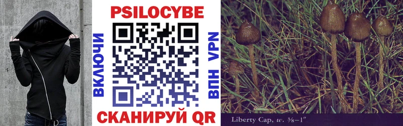Псилоцибиновые грибы Psilocybe  Тейково 