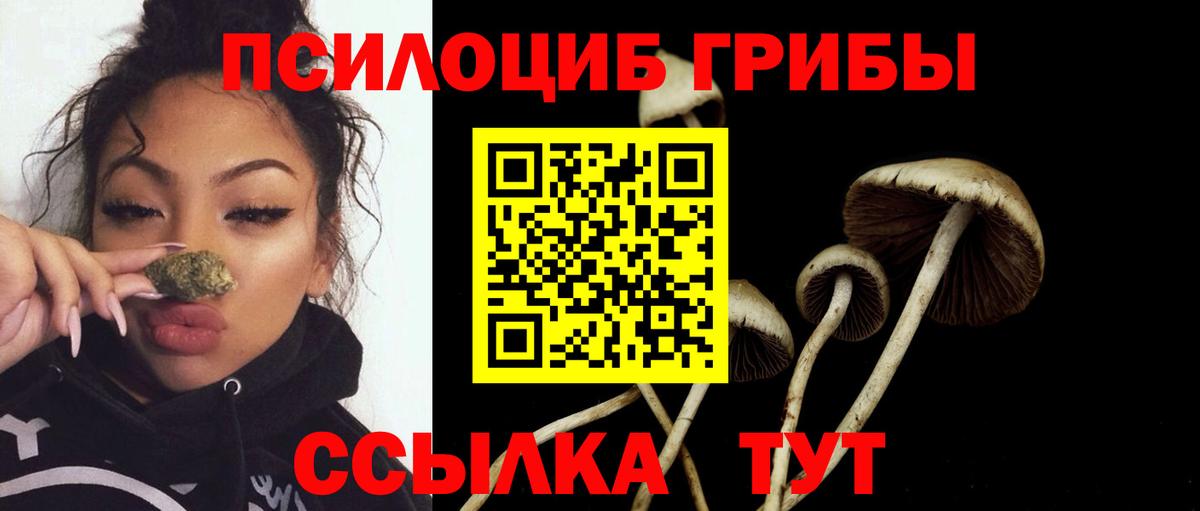 Галлюциногенные грибы мицелий Тейково