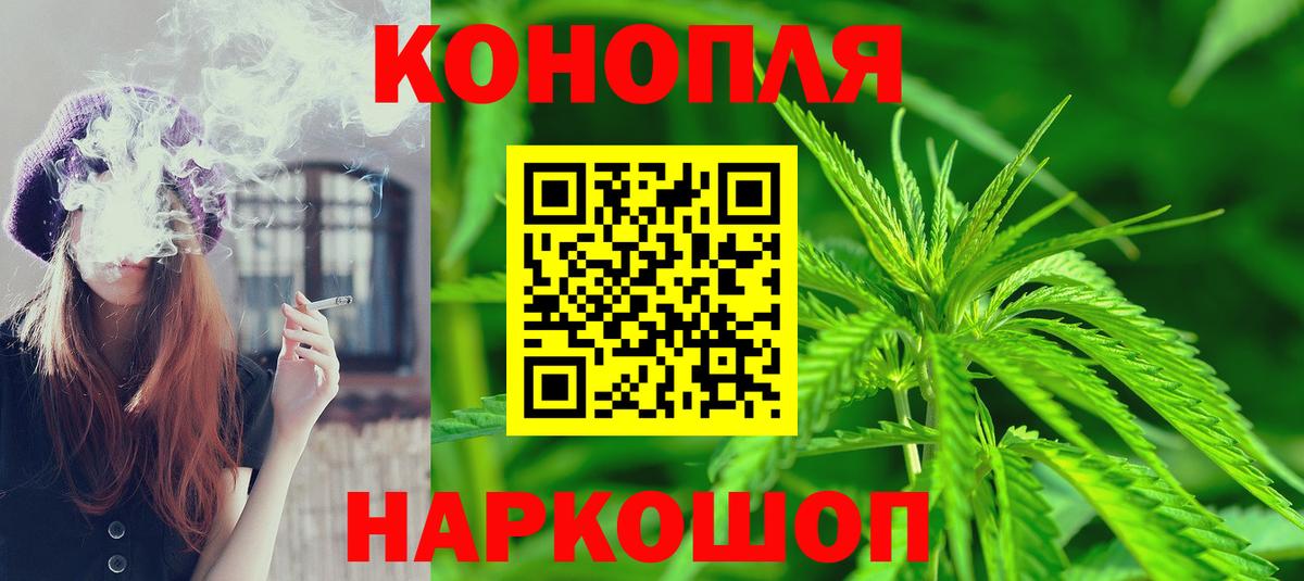 Тейково  Каннабис план  Вход с VPN  Конопля Bruce Banner 